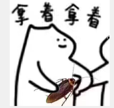 拿著拿著廣東蟑螂是什么梗 拿著拿著廣東蟑螂是什么意思