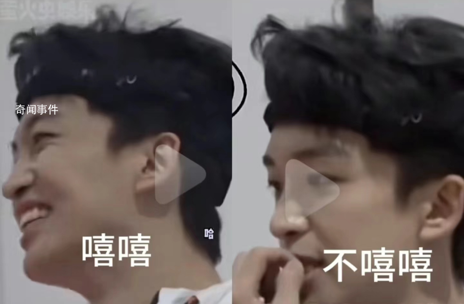bird can fly是什么梗 bird can fly是什么意思