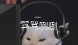 我去年買了個包超耐磨是什么梗 我去年買了個包超耐磨是什么意思