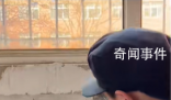 校長曾經的差生回來了是什么梗 校長曾經的差生回來了是什么意思
