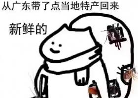 拿著拿著廣東蟑螂是什么梗 拿著拿著廣東蟑螂是什么意思